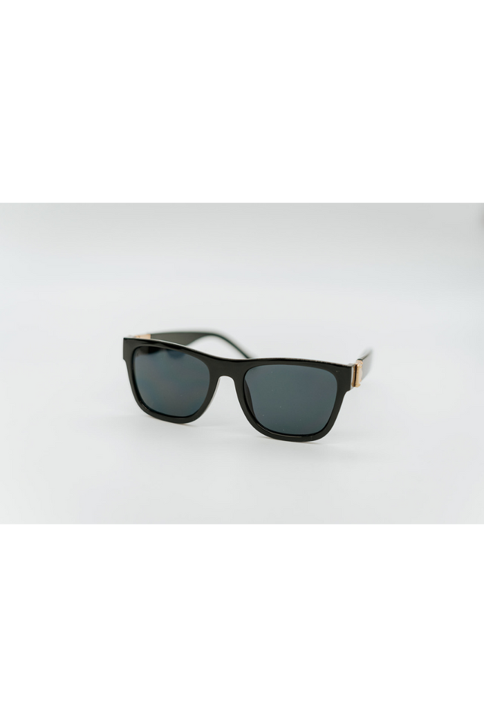 Blake Modern Wayfarer Sunglasses