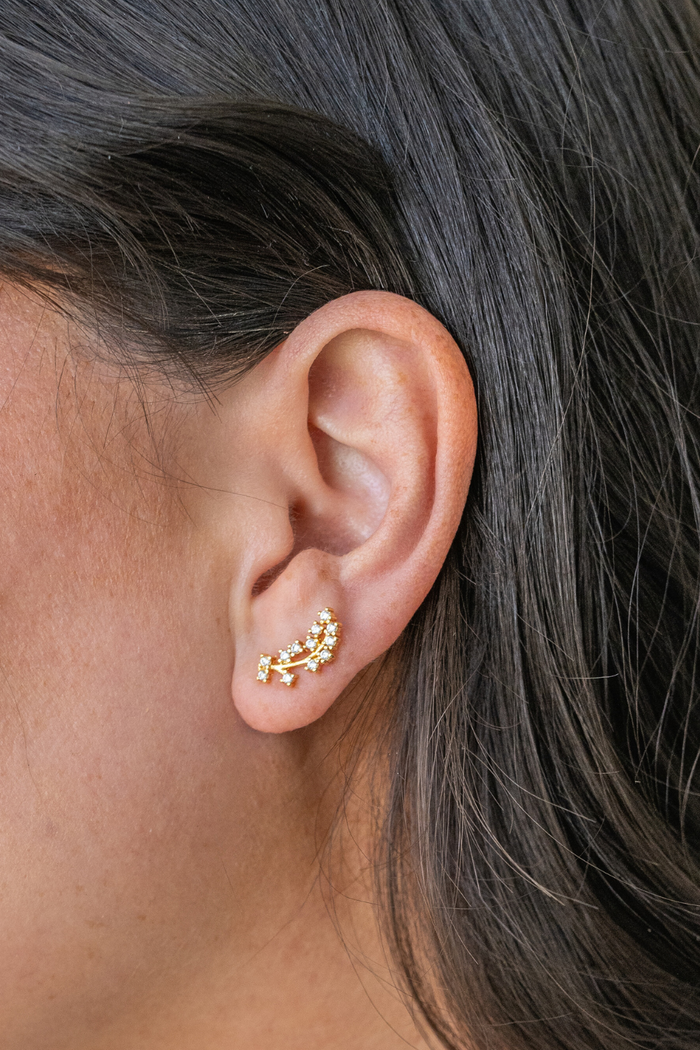 Dawn Rhinestone Crawler Earrings