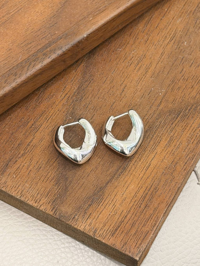 E1480 Chestnut-shaped earrings