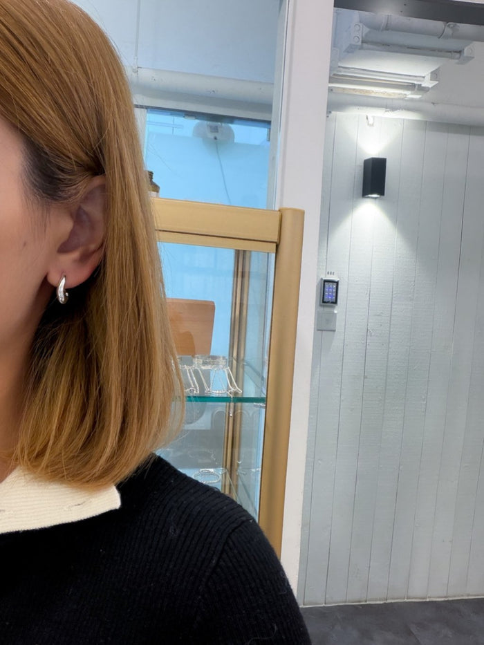 E1480 Chestnut-shaped earrings