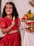 Girl's' Pink Printed Organza Lehenga Set