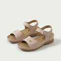 Beige / 35