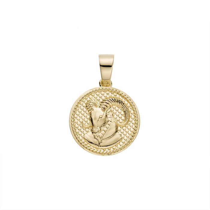 925 Silver / Capricorn