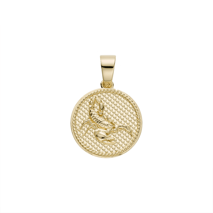 zodiac charm with pattern back-pendant charm-lirysjewelry